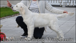 Lakahovin Dancing With Feenix - Lilli