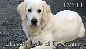 Lakahovin Lydia Of The Century - Lyyli